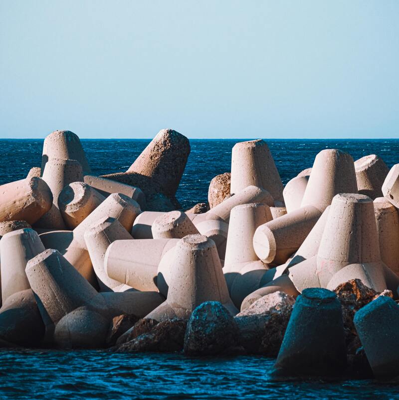 Tetrapods